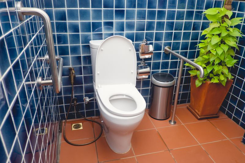 Accessible Bathroom Features